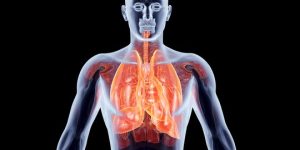 Pengertian Stres Oksidatif Yang Memiliki Ketidakseimbangan Antara Radikal Bebas dan Antioksidan